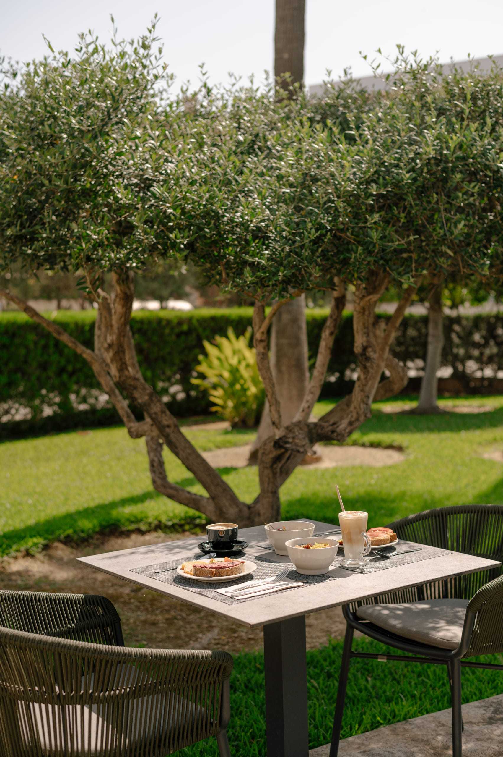 Breakfast table under the olive trees