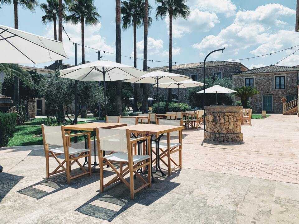 Garden terrace with palm trees and parasols